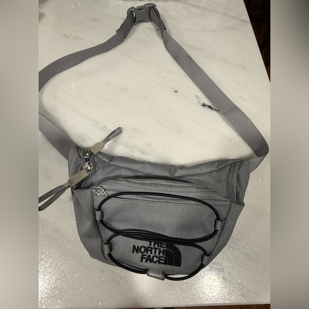 The North Face Gray Belt Bag
